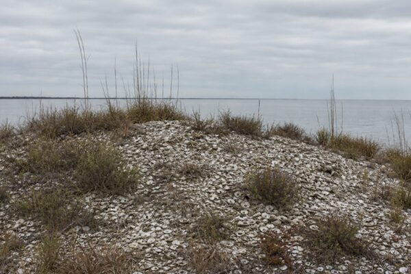 How Dauphin Island Became Alabama’s Barrier Between Bay and Gulf