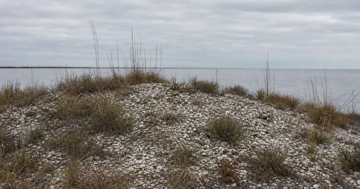 How Dauphin Island Became Alabama’s Barrier Between Bay and Gulf