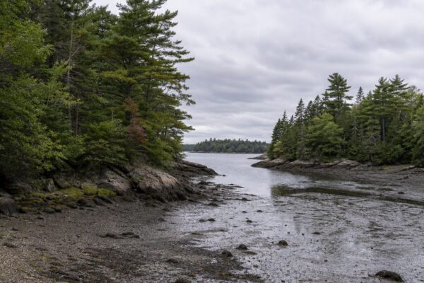 Rhode Island and the Making of America’s Smallest State by the Sea