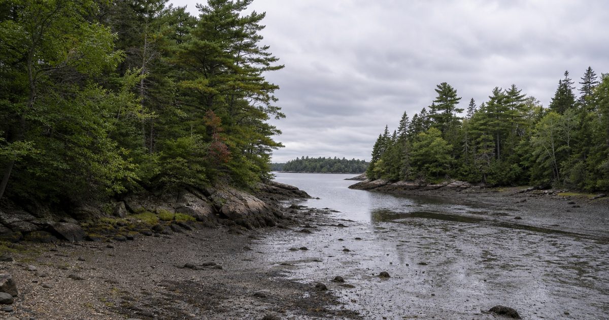 Rhode Island and the Making of America’s Smallest State by the Sea