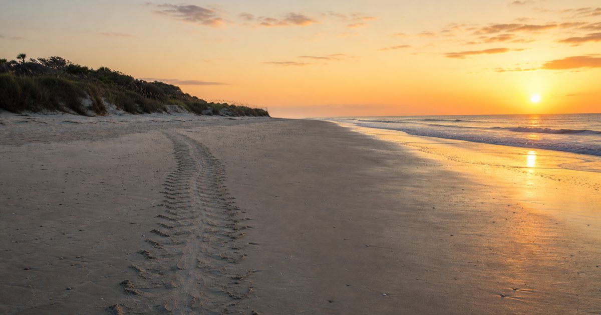 Fripp Island and the Fragile Ecology of South Carolina’s Sea Islands