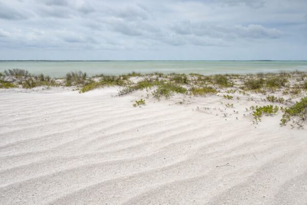 South Padre Island and the Making of a Texas Barrier Island