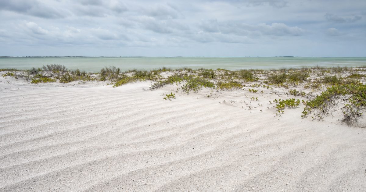 South Padre Island and the Making of a Texas Barrier Island