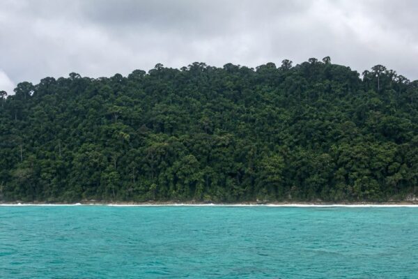 Why Is North Sentinel Island Off-Limits? Isolation, Sovereignty, and Survival