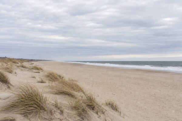 Long Island and the Geology of a Glacial Coast