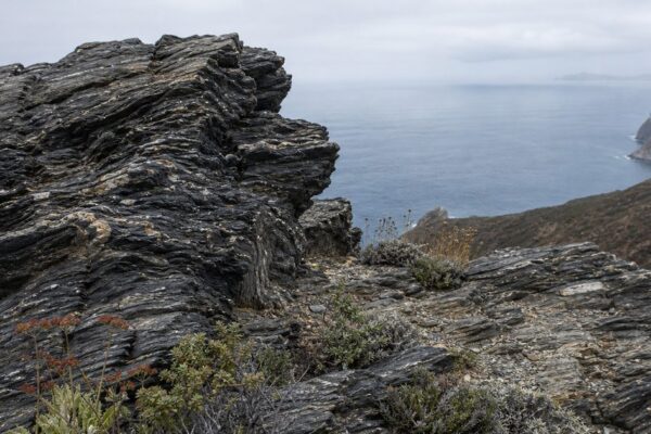 Catalina Island Beyond Tourism: The Island’s Geology, Wildlife, and Maritime Past