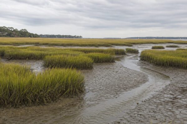 What Is Hilton Head Island Known For? The Story of Its Sea Pines, Marshes, and Gullah Heritage