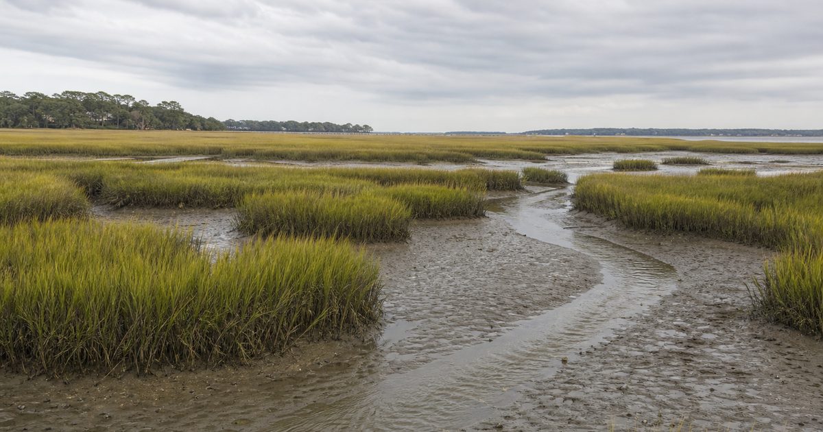 What Is Hilton Head Island Known For? The Story of Its Sea Pines, Marshes, and Gullah Heritage